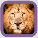 Screen Shot 2015-02-08 at 7.10.18