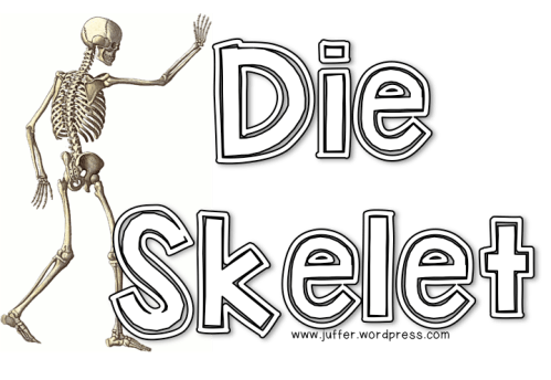 skelet.png