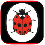 Screen Shot 2015-02-22 at 13.30.15