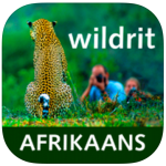 Screen Shot 2015-04-21 at 21.15.27