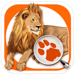 Screen Shot 2015-07-09 at 8.40.45