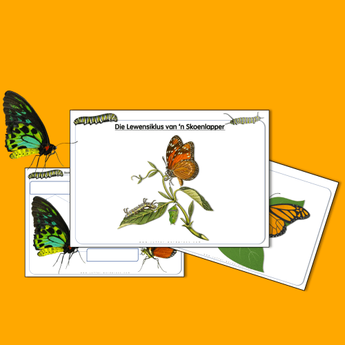 Skoenlappers | © My Klaskamer - idees en gedagtes uit 'n juffrou se pen